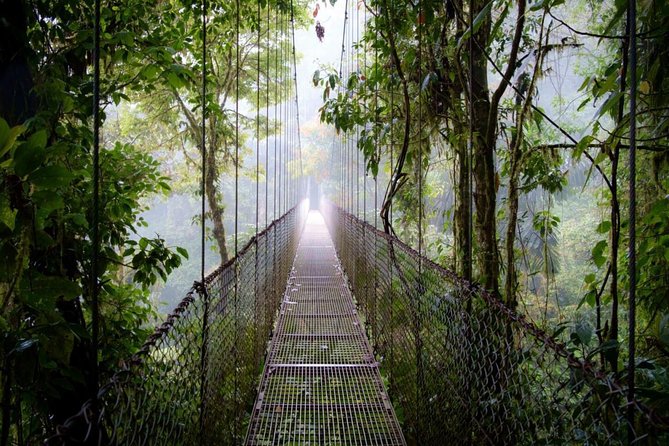 Arenal Hanging Bridges in Mistico Park - Location and Features