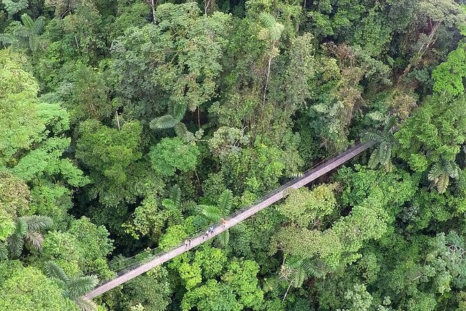 Arenal Hanging Bridges With Hotsprings, Lunch and Dinner - Good To Know