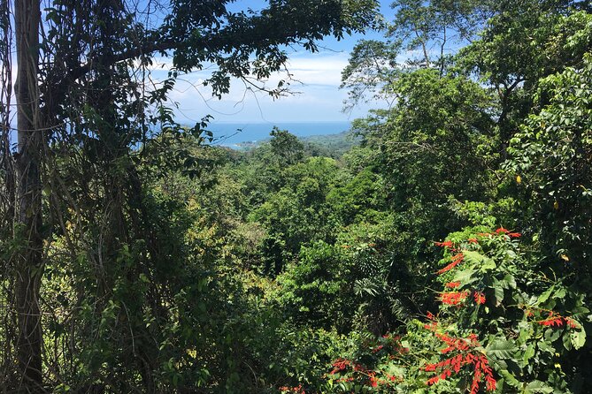 Arenal Hanging Bridges With Hotsprings, Lunch and Dinner - Activity Ending