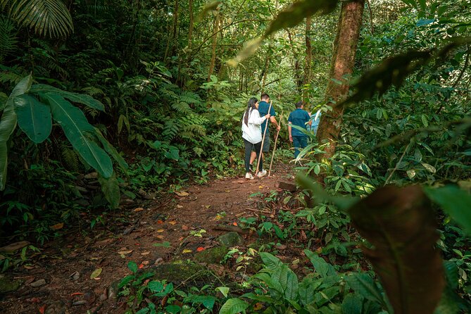 Arenal Natural Hiking Trails - Maximum Travelers and Price