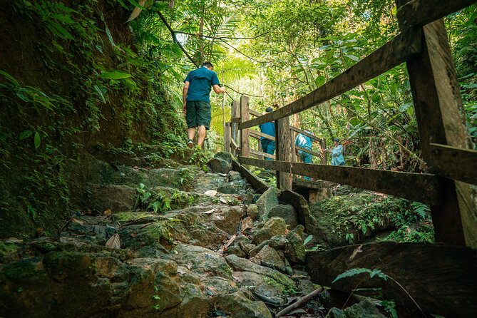 Arenal Natural Hiking Trails - Lowest Price Guarantee