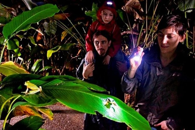 Arenal Oasis Night Walk From Arenal - Tour Overview