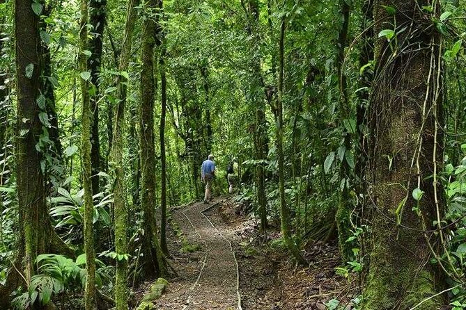 Arenal Observatory Trails Admission Ticket - Reviews and Testimonials