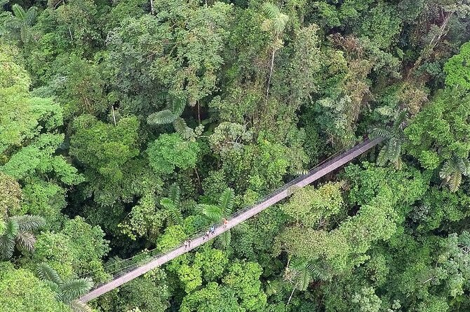 Arenal One Day Unique Experience - Accessibility and Health Requirements
