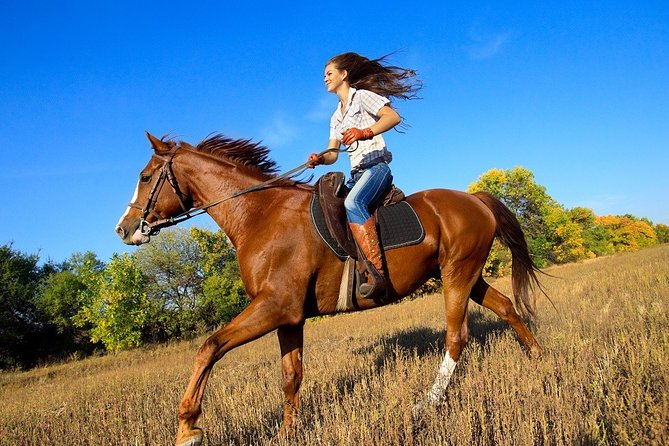 Arenal Volcano Horseback Riding & Baldi Hot Springs. Private Tour - Tour Highlights