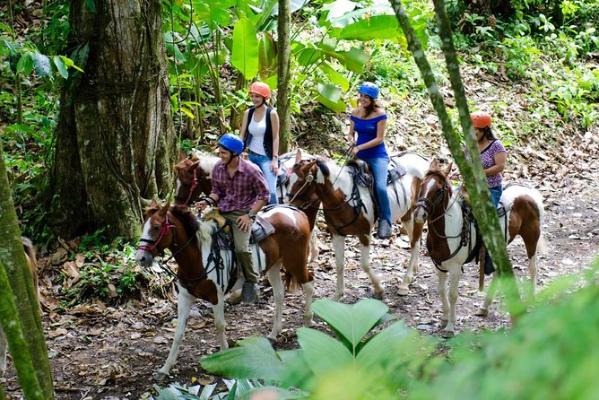 Arenal Volcano Horseback Riding Hot Springs Included - Booking and Reservation Process