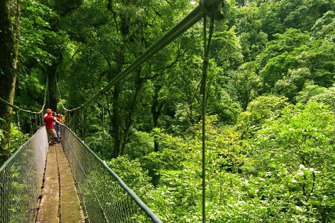 Arenal Volcano Rainforest Walk and Hot Springs - Tour Itinerary Highlights