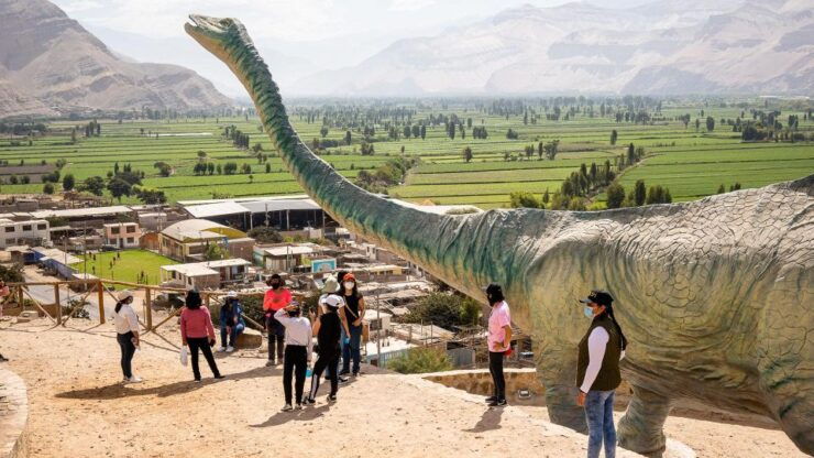 AREQUIPA: Dead Bull Petroglyphs and Dinosaur Footprints - Booking Details