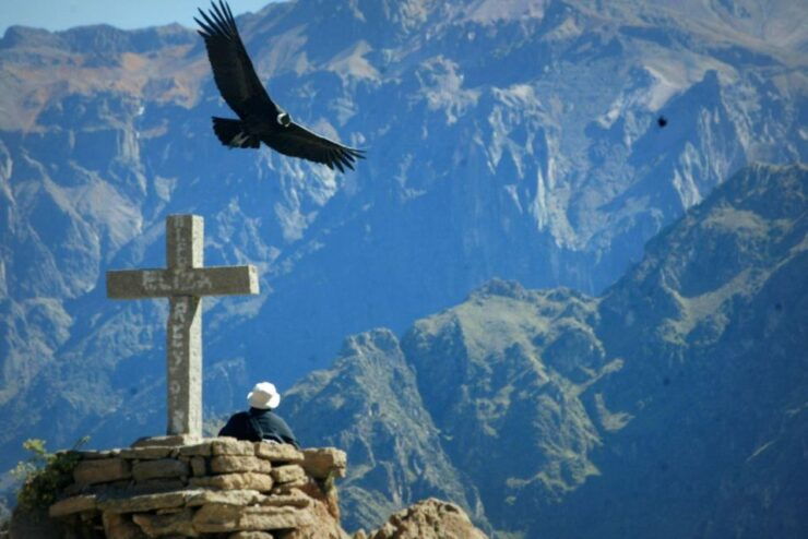 Arequipa: Excursion to the Colca Canyon Ending in Puno - Tour Experience Highlights