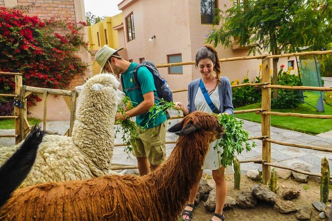Arequipa Panoramic Bus Tour - Cancellation Policy