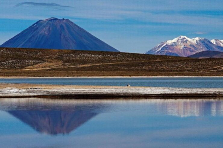 Arequipa: Reserve of Salinas and Aguada Blanca-Lojen Volcano - Tour Highlights