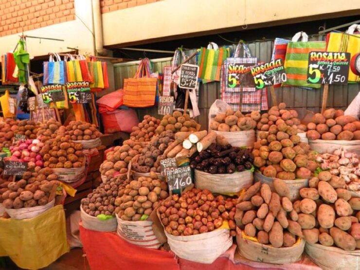 Arequipa: San Camilo Market Tour - Tour Overview
