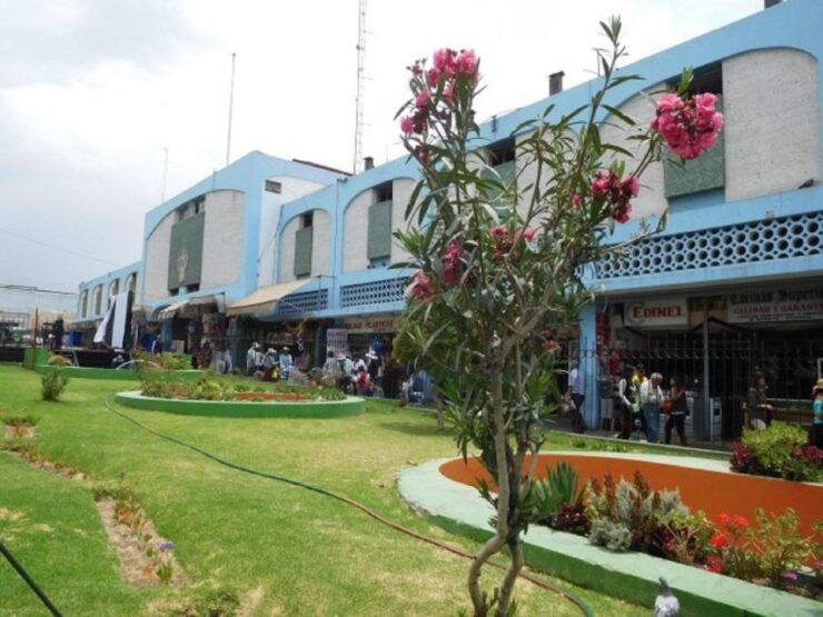 Arequipa: San Camilo Market Tour - Experience Itinerary