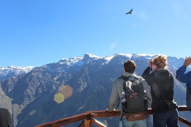 Arequipa Small-Group Full-Day Colca Canyon Tour - Highlights and Tour Itinerary