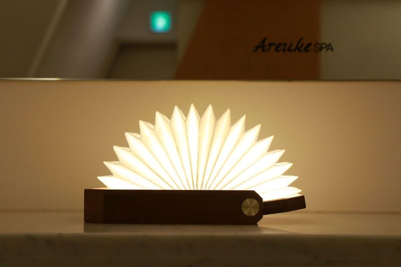 AREUKE SPA: K-Premium Wellness & Aesthetic Experience in Seoul - A calm, personal setting in Mapo-gu