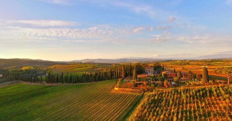 Arezzo: Val Di Chiana Wine Tasting Experience - Booking Details