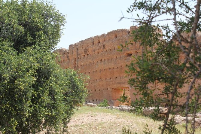 Argan Forest, Tea Time at a Berbers Family & Visit of an Argan Cooperative. - Additional Information