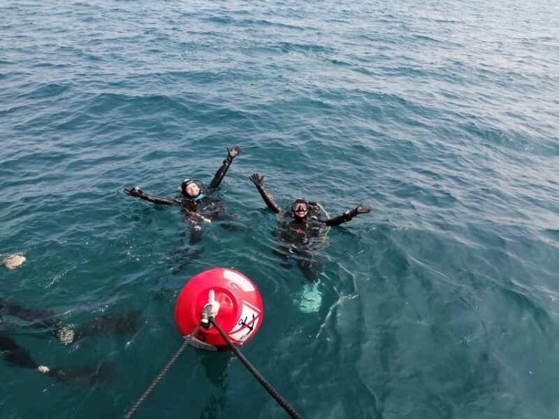 Argelès-sur-Mer : first dive in the Marine Natural Park - FAQ