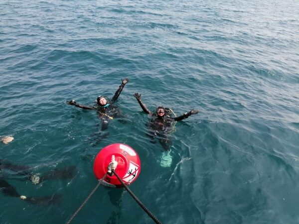 Argelès-Sur-Mer: First Dive in the Marine Natural Park - Questions You May Have