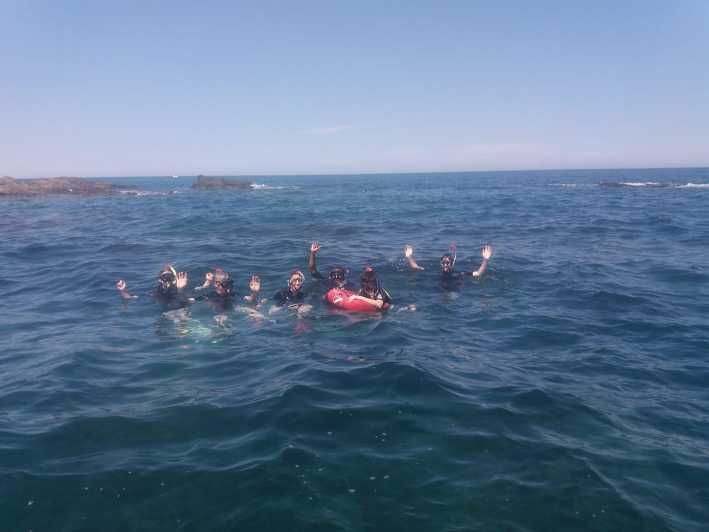 Argelès-Sur-Mer: Snorkeling Into the Marine Natural Park - Key Points