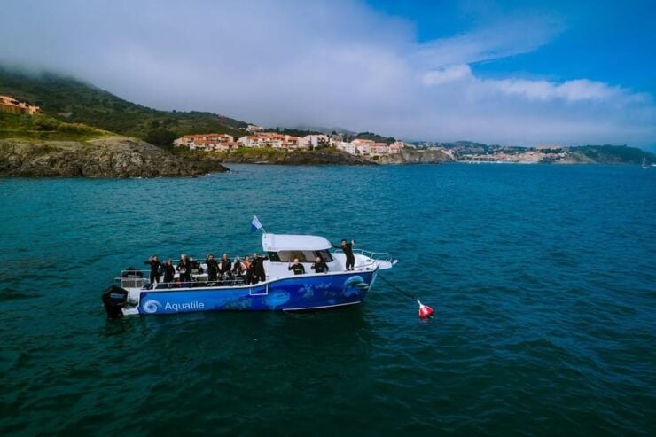 Argelès-Sur-Mer: Snorkeling Into the Marine Natural Park - How to Book Your Experience