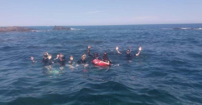 Argelès-Sur-Mer: Snorkeling Into the Marine Natural Park - What to Expect Underwater