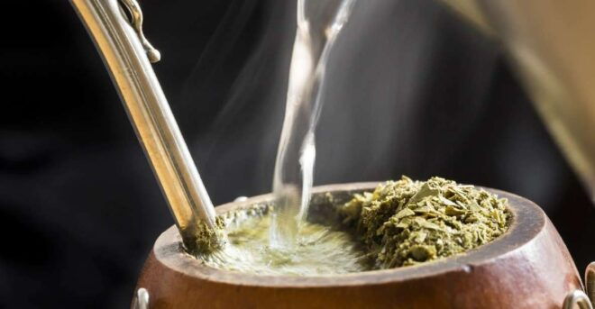 Argentinian Mate Tasting and Class - Activity Highlights