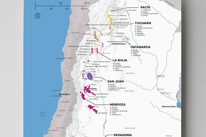 Argentinian Wines and Malbec Tasting (Virtual Live Experience) - Experience Details