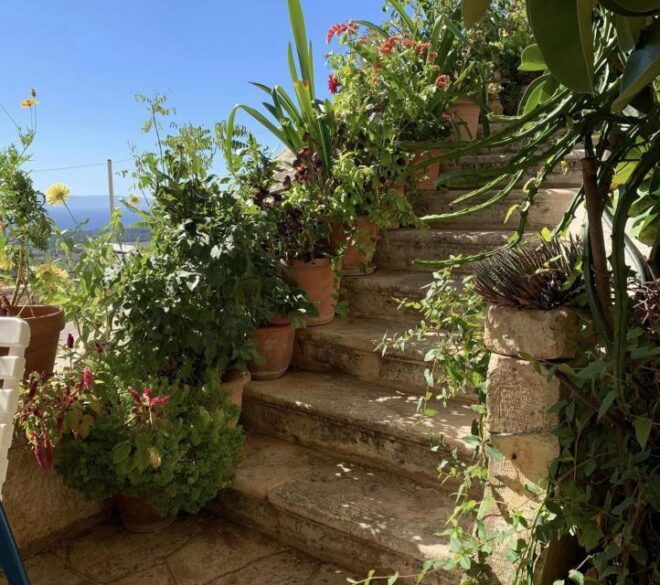 Argostoli & Villages Exploration With Wine & Oil Tasting - Discovering the Charming Livathos Villages