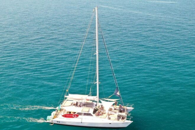 Arguineguin : Catamaran Excursion With Lunch and Drinks - Included Activities