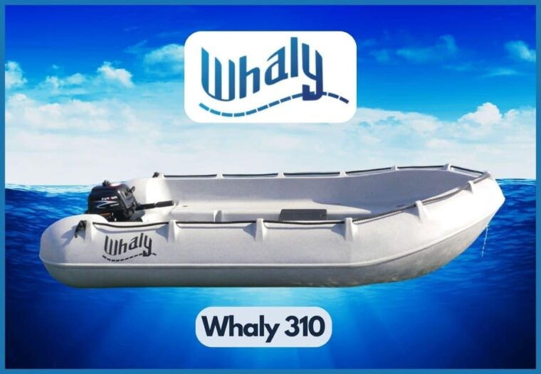 Arguineguin, Gran Canaria: Zodiac Rental Without Licence - Booking Information