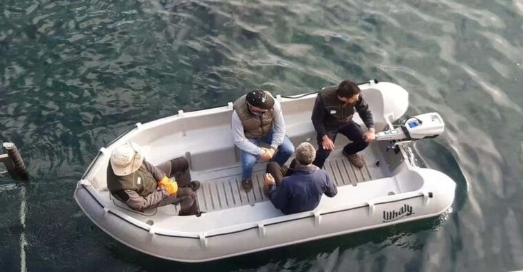 Arguineguin, Gran Canaria: Zodiac Rental Without Licence - Transportation and Pickup