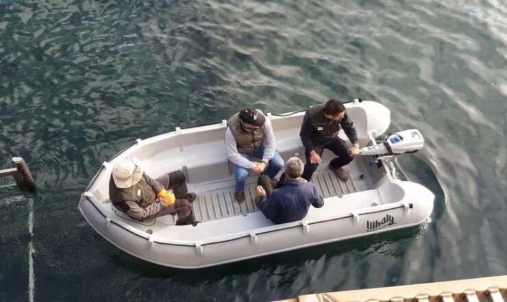 Arguineguin: Zodiac Rental Without License - Good To Know