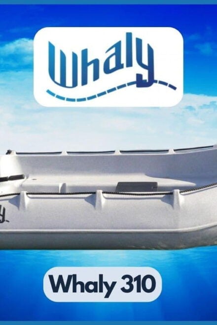 Arguineguin: Zodiac Rental Without License - Transportation and Pickup