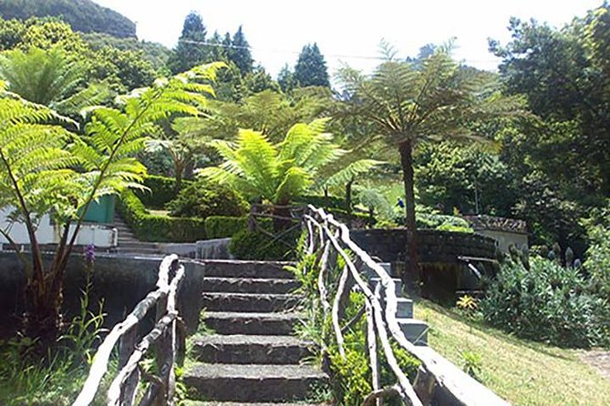 Arieiro Peak - Laurisilva Forest & A-Framed Houses Tour - Visit to A-Framed Houses in Camacha