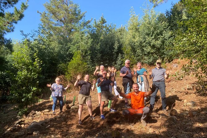Arieiro Peak, Santana & Machicos Golden Sand Beach - Arieiro Peak: A Majestic Mountain Experience