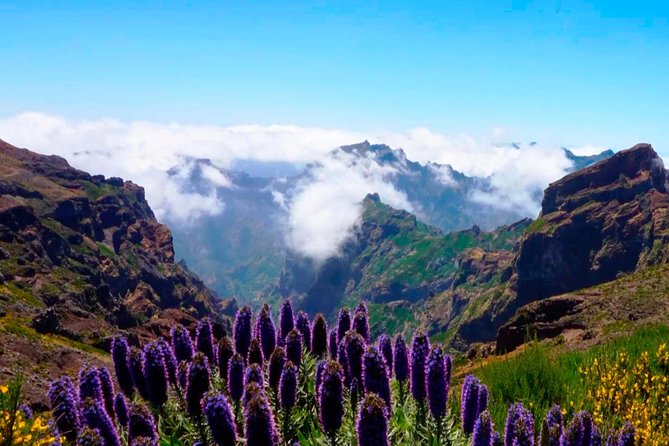 Arieiro Peak, Santo Da Serra and Cristo Rei in 4x4 Half Day Tour - Traveler Reviews: Pedro, Francesco, Gil, and Rui
