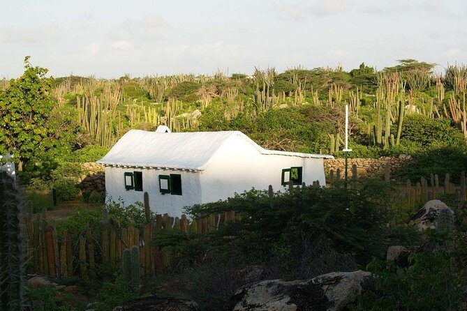 Arikok Adventurous Hiking Experience in Aruba - FAQs