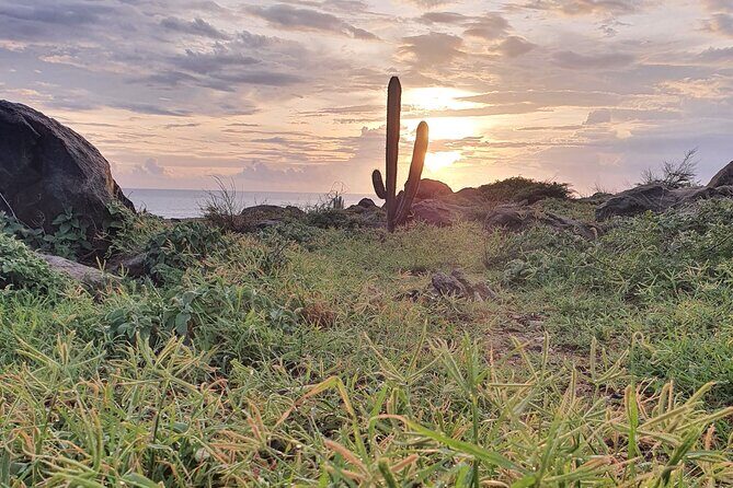 Arikok Sunrise Hiking Tour to Natural Pool + Transportation - Who Should Consider This Tour?