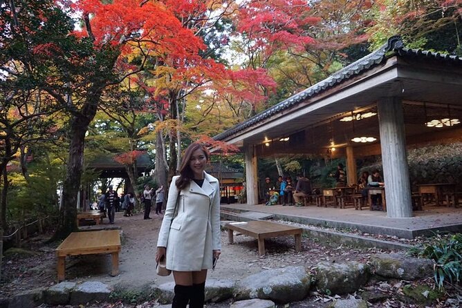 ARIMA ONSEN Custom Tour With Private Car and Driver (Max 9 Pax) - Pickup and Drop-off