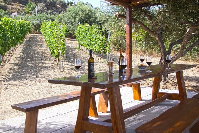 ARISMARI  Vineyard Tour & Wine Tasting - Who Will Love This Tour?