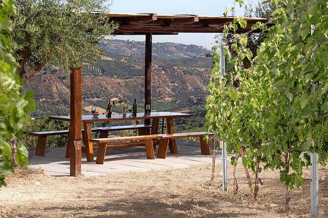 ARISMARI  Vineyard Tour & Wine Tasting - Final Thoughts