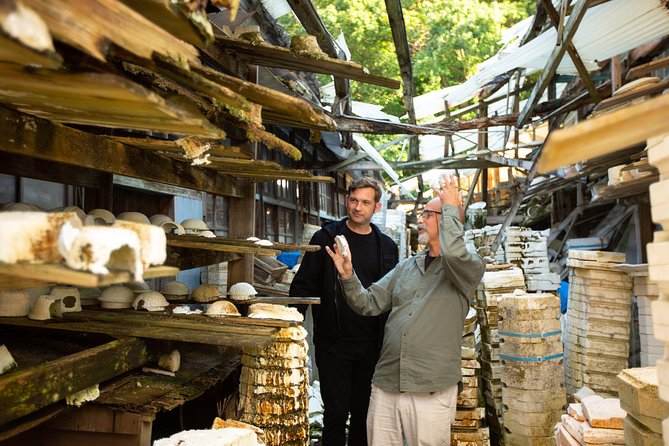 Arita Ware Private Walking Tour and Ceramics Treasure Hunt - Pricing and Booking