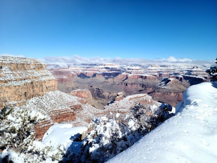 Arizona: Grand Canyon National Park Tour With Lunch & Pickup - Experience Highlights