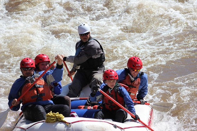 Arizona Rafting on the Salt River- Full Day Rafting Trip - Wildlife Encounters