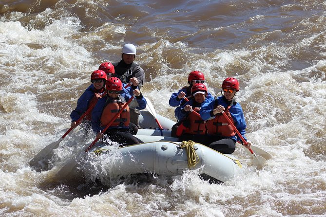 Arizona Rafting on the Salt River - Half Day Rafting Trip - Trip Overview