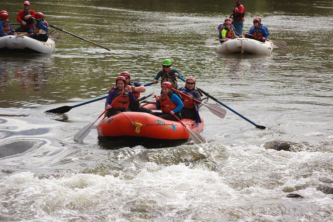 Arizona Rafting on the Salt River - Half Day Rafting Trip - Traveler Photos