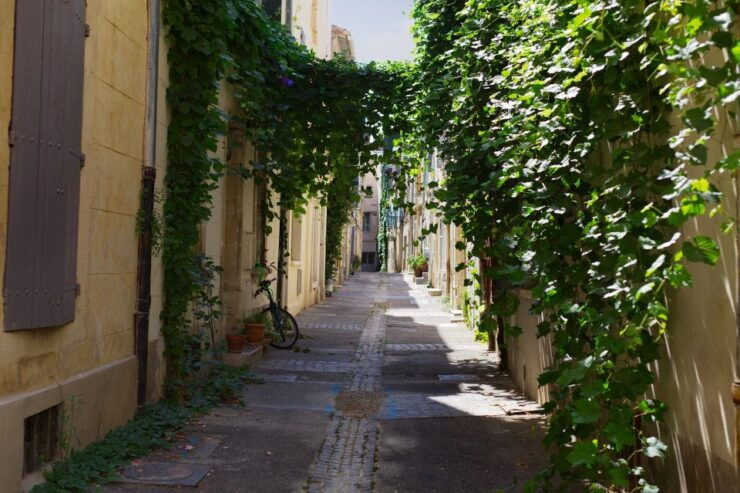 Arles 2-Hour Private Walking Tour - Available Languages