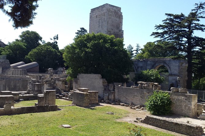 Arles and Camargue Small-Group Half-Day Tour From Avignon - Pricing and Booking