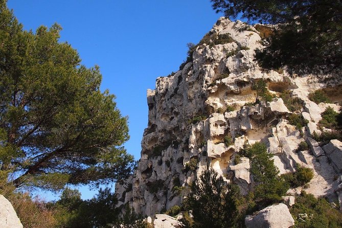 Arles, Avignon, Saint-Remy-de-Provence, Baux-de-Provence Tour  - Aix-en-Provence - Saint-Remy-de-Provence and Baux-de-Provence